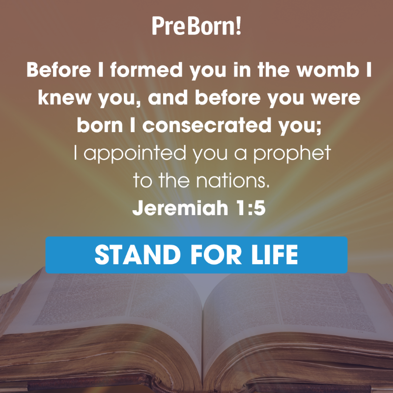 missionpreborn's tweet photo. Jeremiah 1:5 reminds us that our human rights and dignity begin long before we’re born. That’s why our pro-life organization –PreBorn!– works with pregnancy clinics to fulfill their mission providing expectant mothers with critical support to choose life over abortion–at no cost.