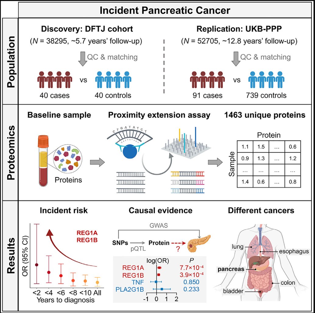 New protein biomarkers for pancreatic cancer risk replicated across ancestries with evidence of potential causality
cell.com/cell-genomics/… @CellGenomics