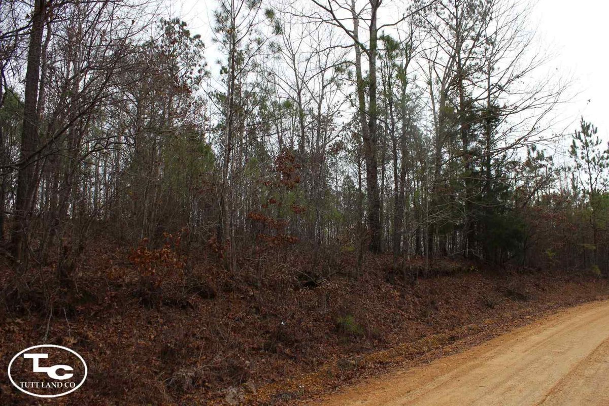 39 +/- Acres - Lamar County, AL - $99,450
Chase Christian 205-712-0857
Located off Mt Pleasant Road.
buff.ly/3JLyzqd 
#forsaleinalabama #landforsale #trustedlandprofessionals #tuttlandco #lamarcounty