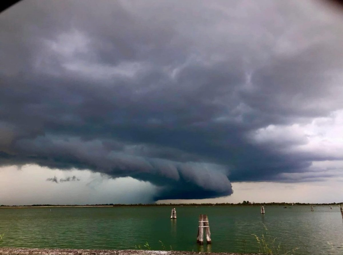 Quello che è arrivato oggi a Venezia 😱😱😱