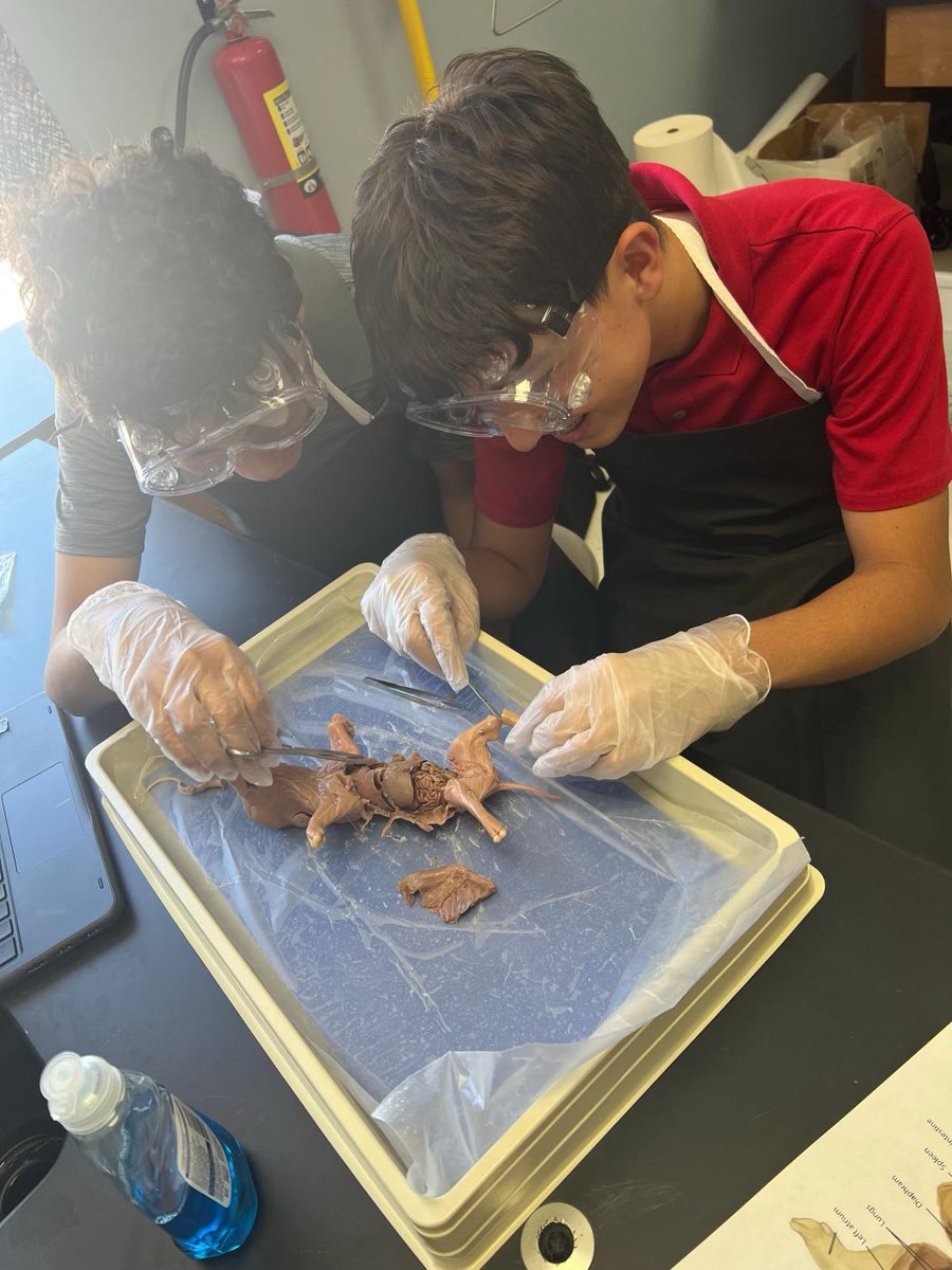 🐾Science dissection in Mrs. Contreras’ 8th grade class.#TISDProud