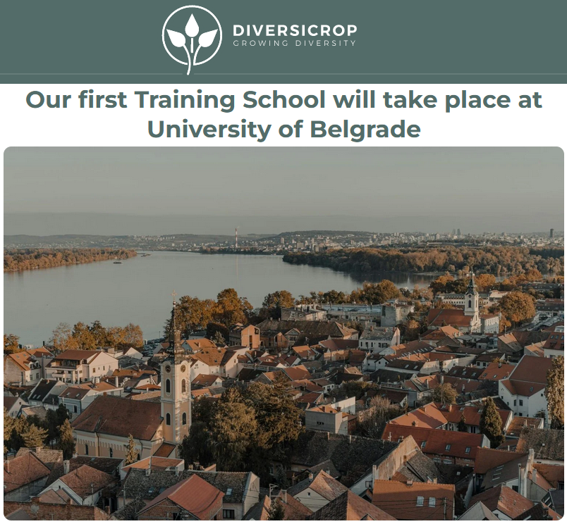 Assoc. Prof. Meriel McClatchie, @ucdarchaeology is co-leading a training school this week on data analysis and visualisation at the University of Belgrade as part of the @diversicrop Cost Action, funded by the EU. diversicrop.eu