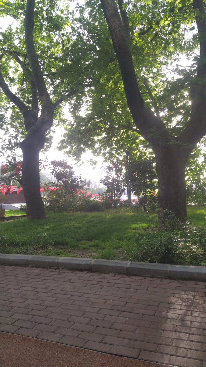 Zonguldak merkez,yokmu bayan arkadaş..dm atar misin..#zonguldak