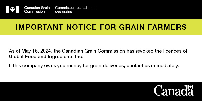 We have revoked the licences of Global Food and Ingredients Inc. as of May 16, 2024. If this company owes you money for grain deliveries, contact us immediately: ow.ly/JXP050RIA5q #MbAg #SkAg #AbAg #WestCdnAg #CdnAg