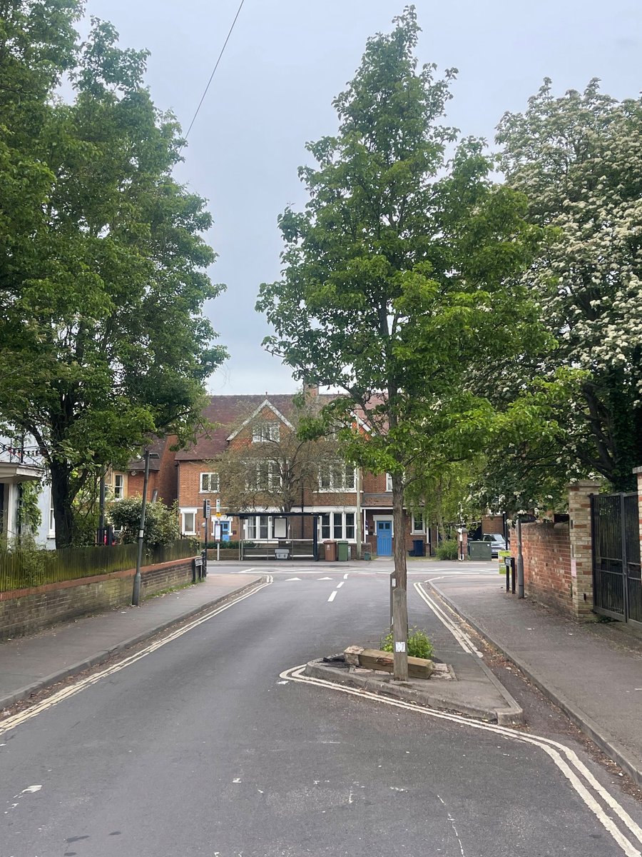 If your street has room for parked cars it has room for trees