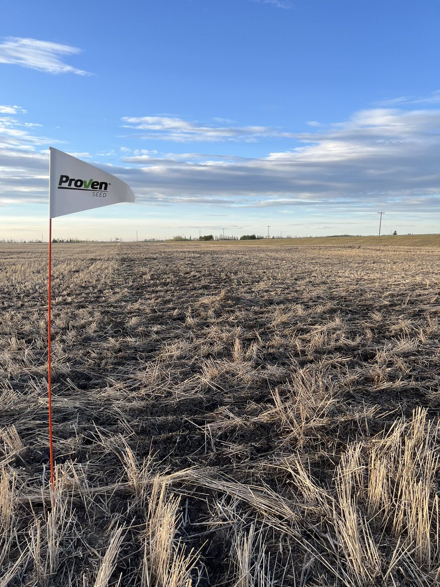 Randi Kuriga tweet media