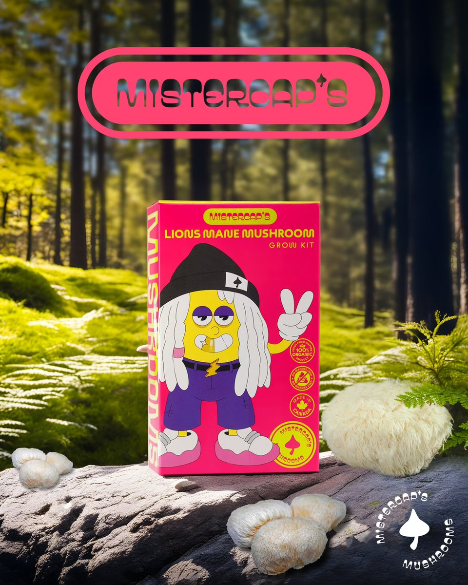 MISTERCAP’S tweet media