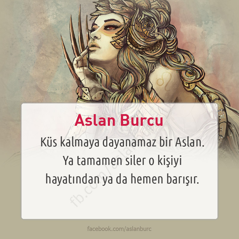 #AslanBurcu