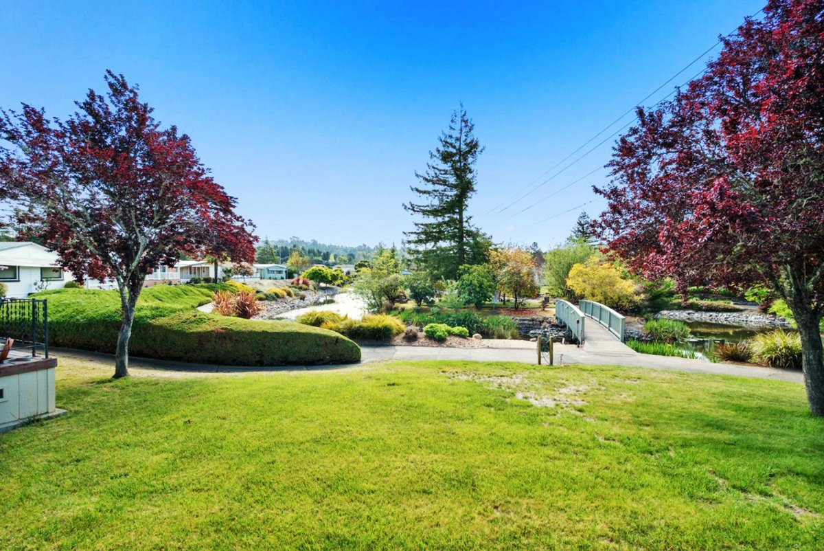 alexchowhomes's tweet photo. #SpringLakesPark
225 Mount Hermon Rd
#ScottsValley, CA #95066 

#SpringLakes 55+ #MobileHomePark: Tucked away in a great location, Spring Lakes offers a beautiful pool, clubhouse, putting green, shuffleboard, and more. 🛝 

/ AlexChowHomes 🏠
☎️ (408) 463-6535

#Realtor #SanJose https://t.co/nGxopdchFe
