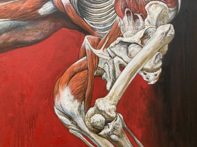 「skeleton」 illustration images(Latest｜RT&Fav:50)