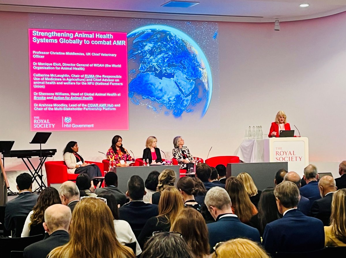 🦠@ChiefVetUK hosted the panel “Strengthening Animal Health Systems Globally to combat AMR” at today's #AMR conference hosted by UK Gov & @royalsociety. 👏Huge thanks to our animal health experts @WOAH_DG, @TheBrooke's @Shereene_Vet, @RUMA’s Chair Cat McLaughlin & @ArshneeM.