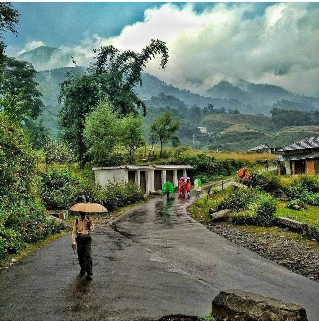 Inviting everyone to join the rainy  evening with such a majestic view at Palampur Himachal India...❤️❤️⚘️ wish you all the best for upcoming time ahead 🙏