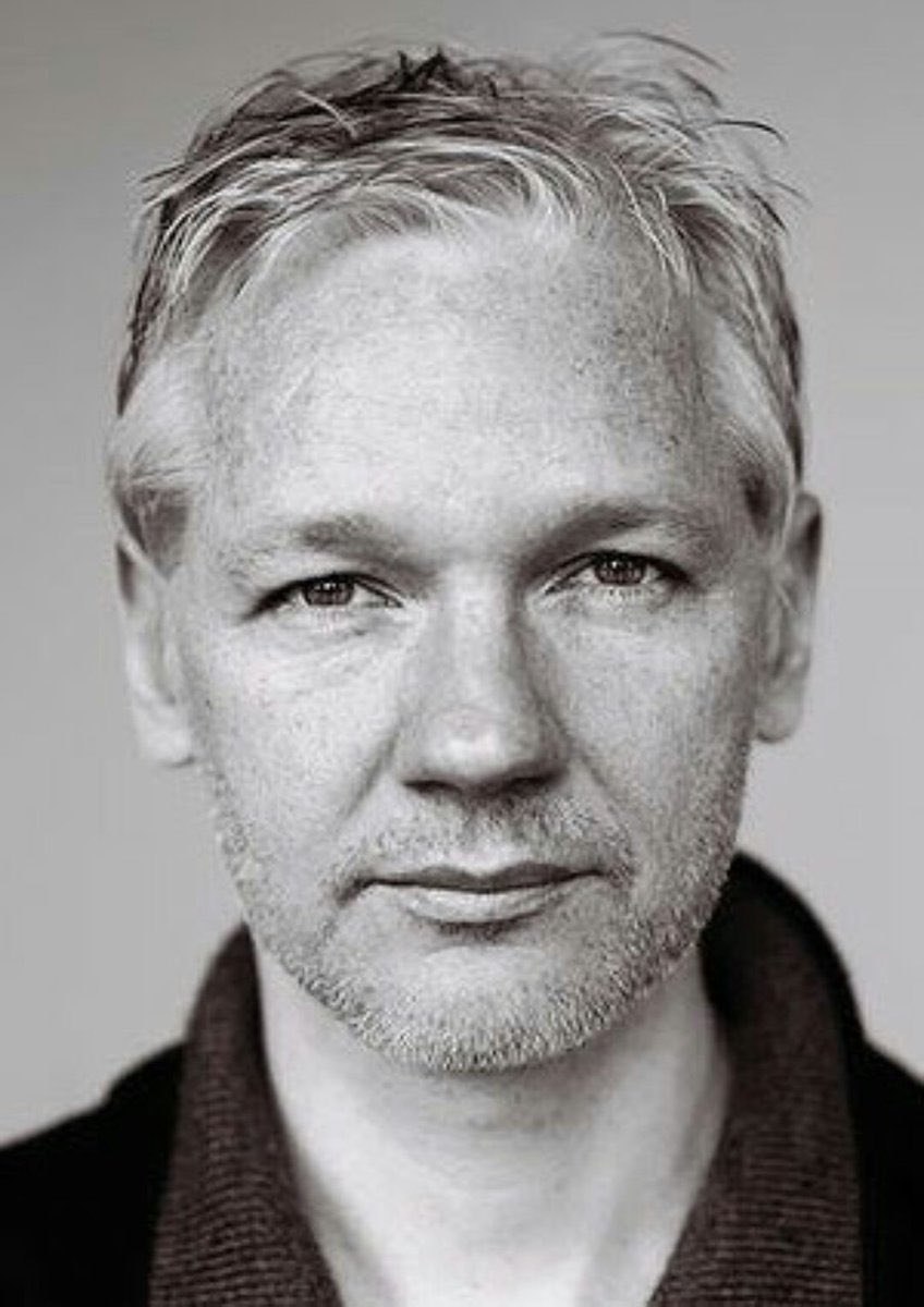 Julian Assange: “Large institutions cannot tell the truth about the establishments they are socially, logistically and financially integrated with' [2017] Stand up for your right to know #FreeAssangeNOW Extradition decision: May 20