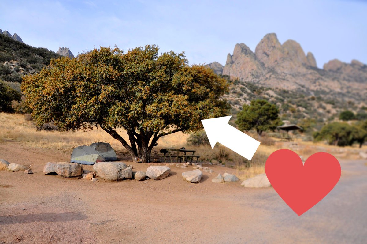 Growing into #NationalLoveaTreeDay! 💗🌲🌳

We don’t advise actually hugging a tree, since 1) we want to #LeaveNoTrace & 2) it hurts (you AND the tree). 

Looking for ways to love the trees on #YourPublicLands? Visit volunteer.gov. We have good ways to give back here🤝