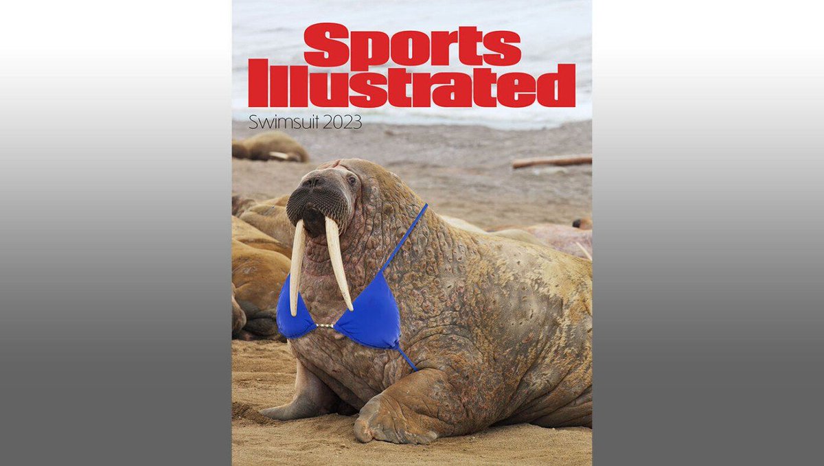 Sports Illustrated Puts Bikini On Walrus For Latest Body-Positive Swimsuit Edition buff.ly/3MLmXGe