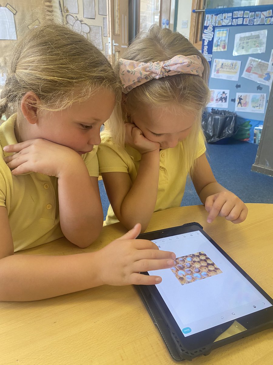 We’ve been using #picollage to add pictures, add and change text size , colour and font . We have been using different backgrounds and have been manipulating images by cropping and changing layouts, all whilst sequencing the life of a bee 🐝 @gartmor