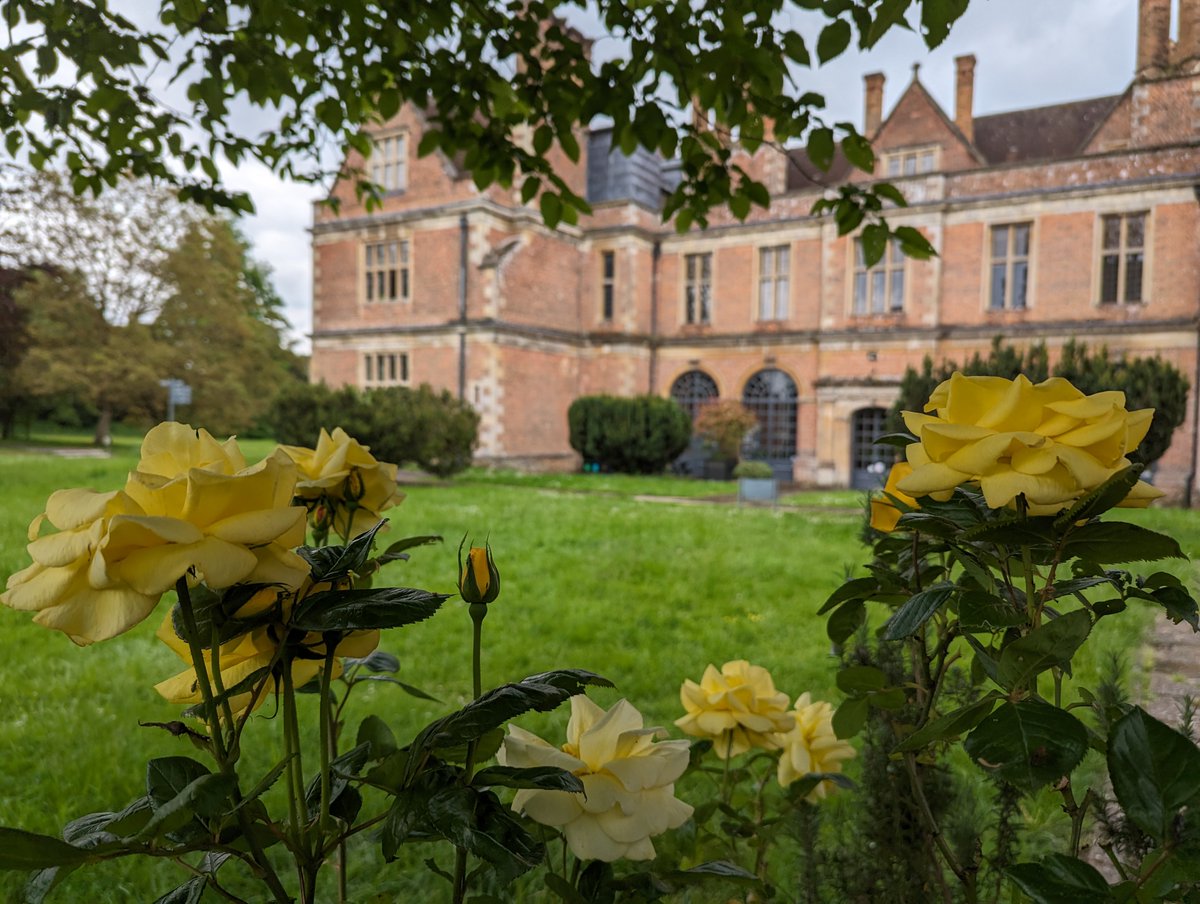 The Orangery Lawn was once an Edwardian rose garden. In 1905, Shaw House was purchased by the Hon. Mrs. Farquhar, daughter of Thomas 1st Lord Deramore and beautiful rose beds decorated the gardens. Come along to enjoy the gardens and explore the House every weekend until Sept!