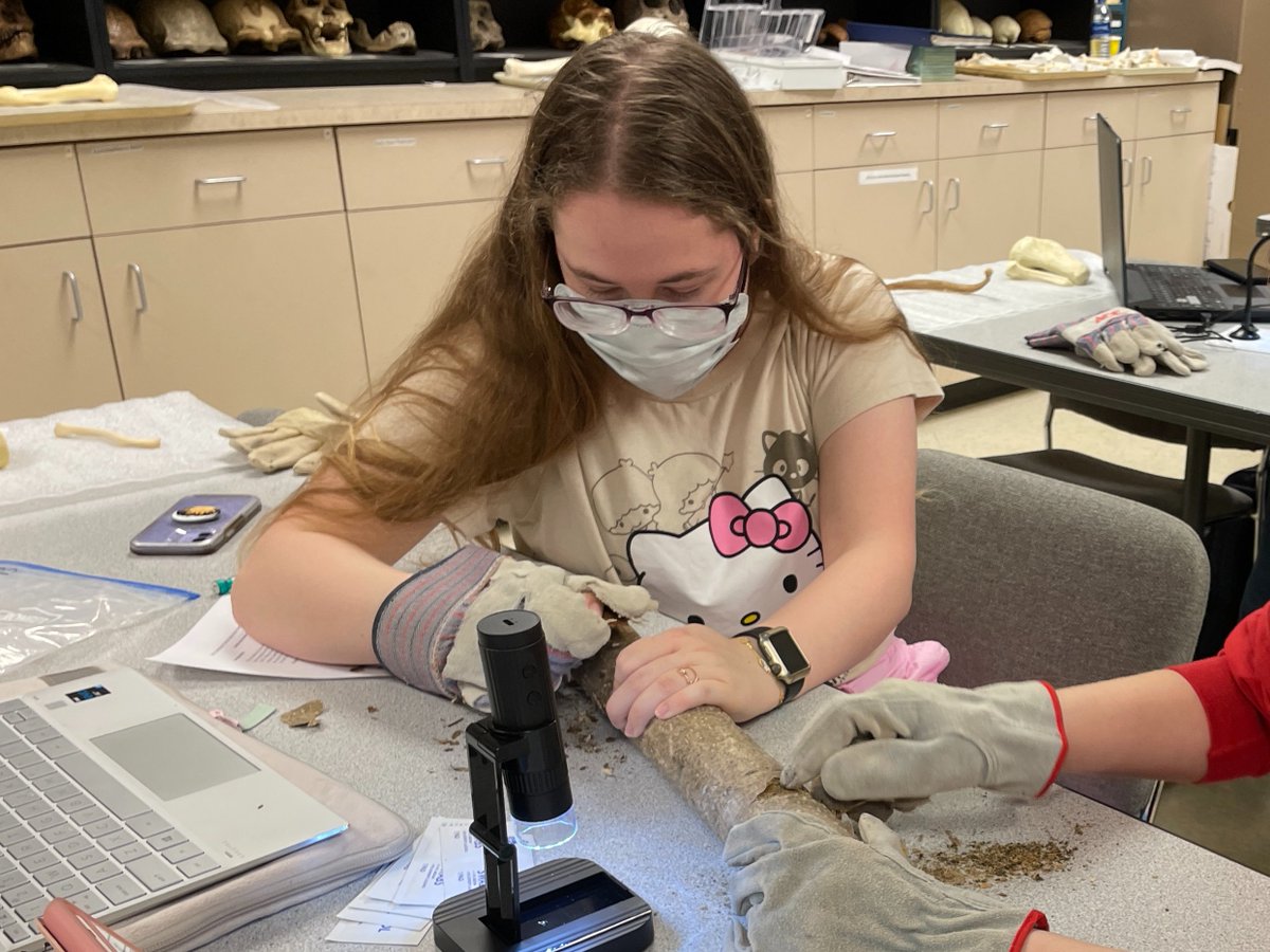 Meet our summer interns! Lucah Kloster is a junior Anthropology major who hopes to "gain experience with large project planning, further insight into the origins of early hominin stone technology, and make preparations to run an experiment on asocial flintknapping in the fall."