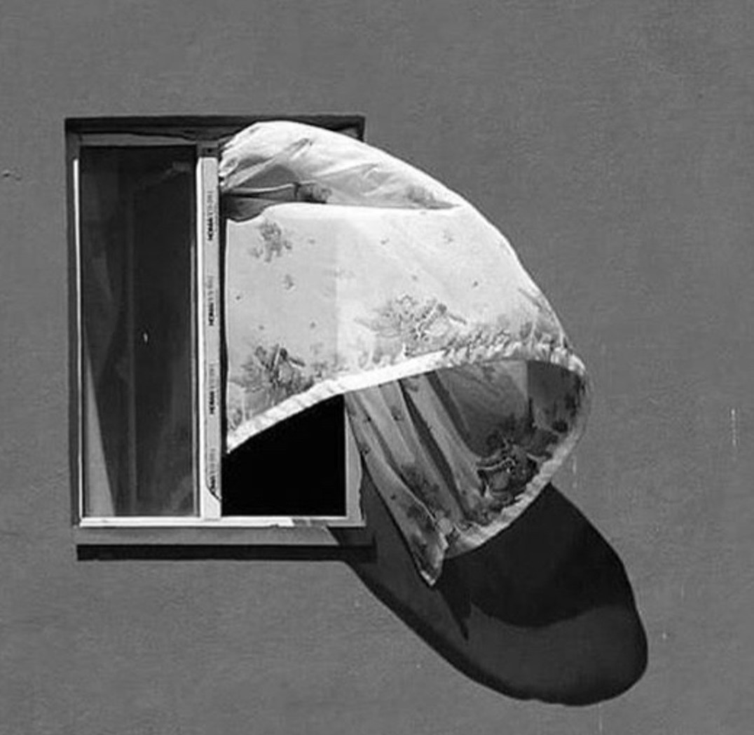 ' السعادة كالريح، تحتاج إلى أن تفتح لها النوافذ حتى تدخل حياتك ' (م)

#جماليات 
#مساء_الخير