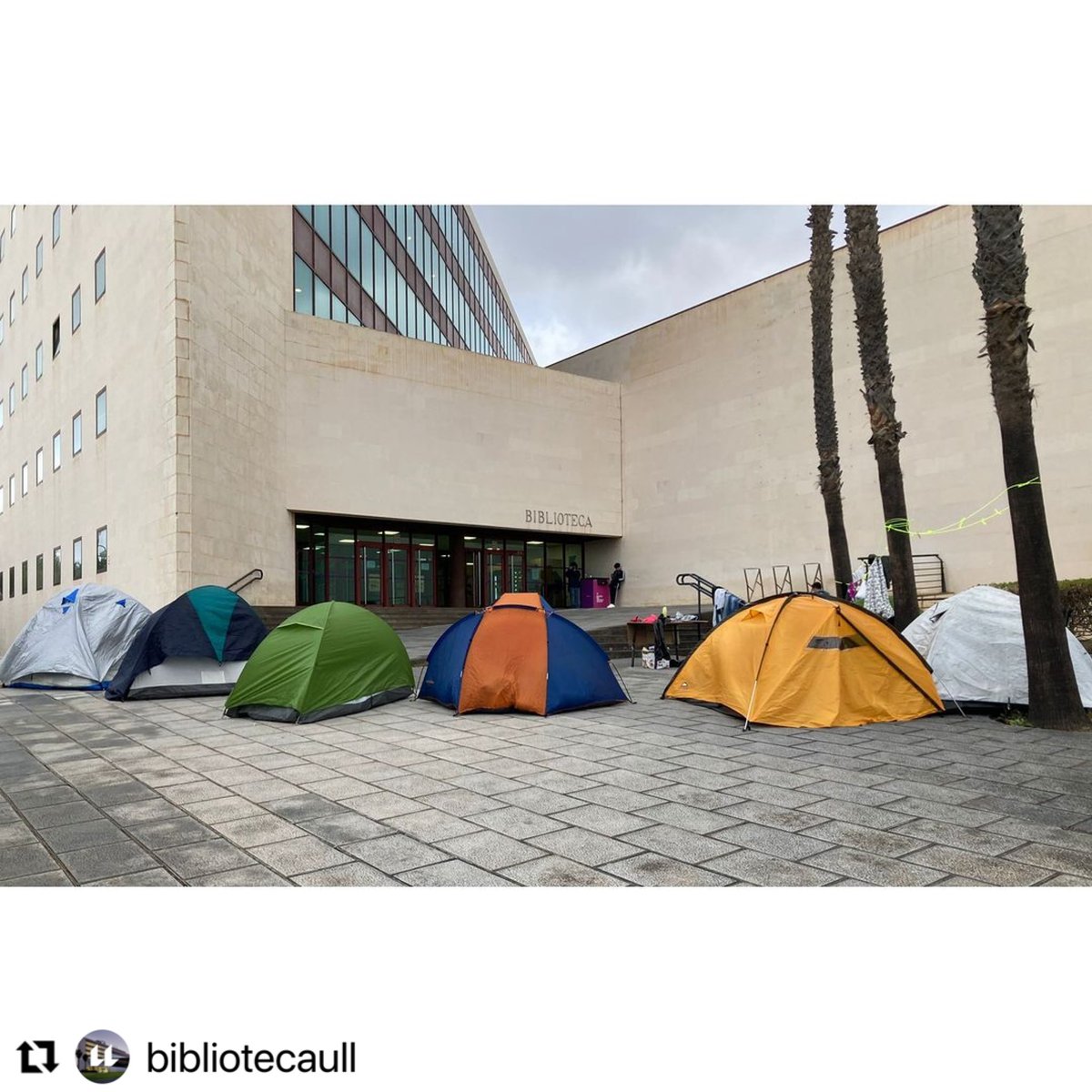 #Repost @bibliotecaull with @use.repost
・・・
Desde ayer, estudiantes de la #ULL se concentran frente a la Biblioteca General y de Humanidades contra la situación que está sufriendo el pueblo palestino en Gaza. Más información en #PeriodismoULL ➡ bit.ly/3yux4dg