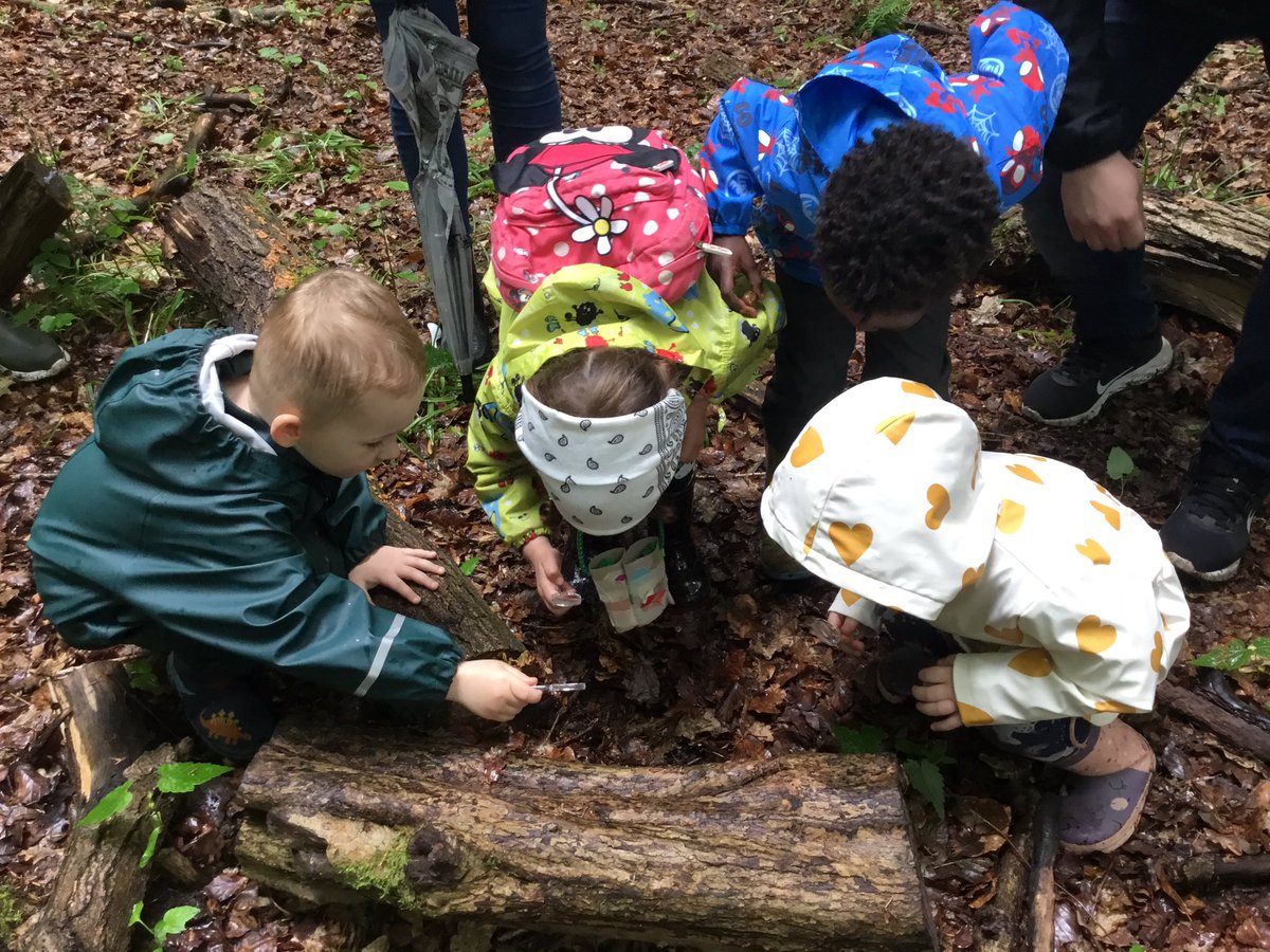 We had lots of fun on our trip to Sandall Beat Wood!