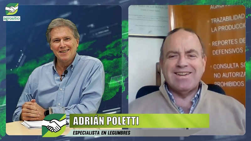 Un año ideal para sembrar Legumbres, arveja y lenteja con + demanda que oferta; con Adrián Poletti - agrónomo agrositio.com.ar/canal-agrositi…