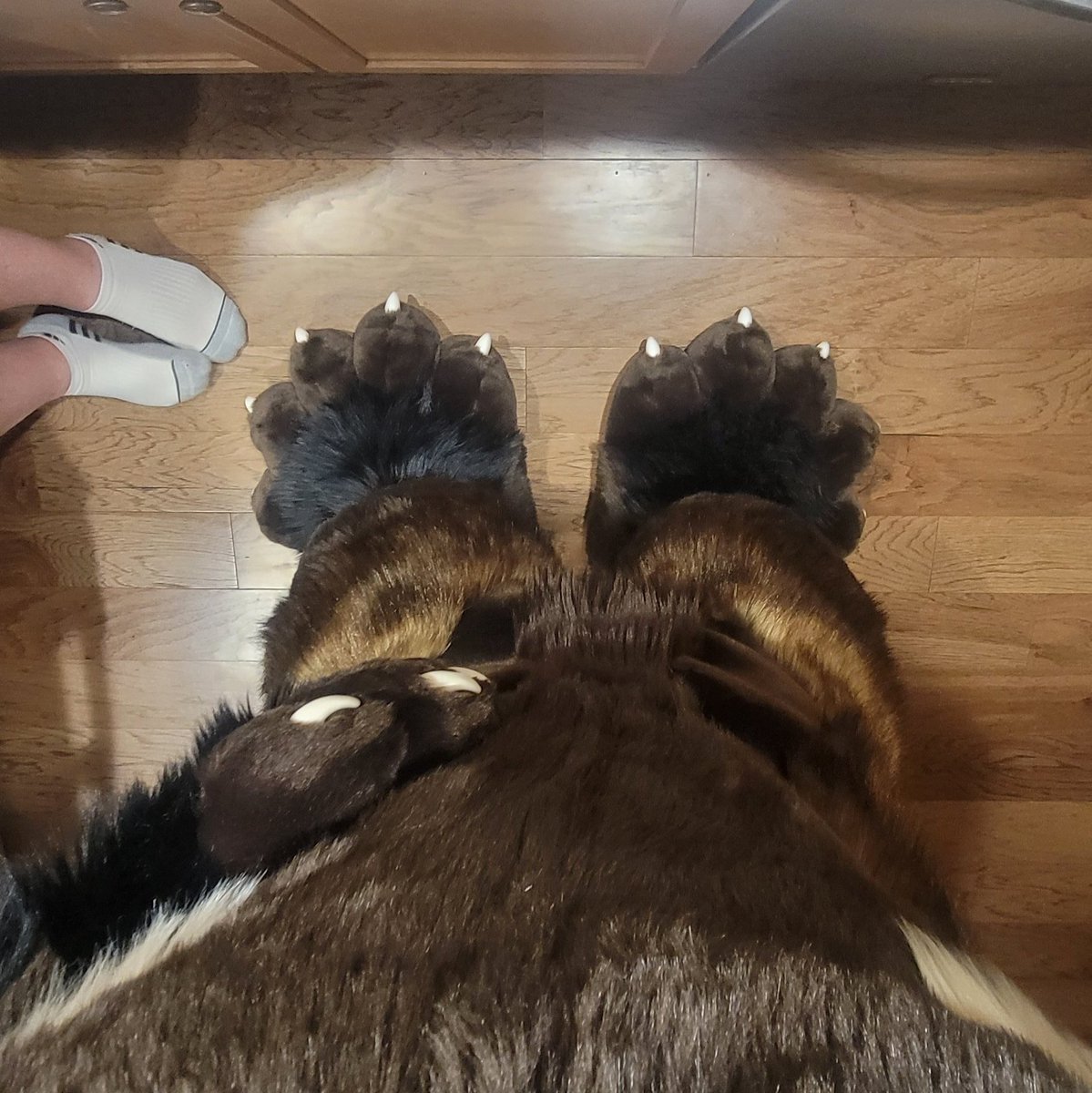 POV: You're a wolverine full of pizza and beer