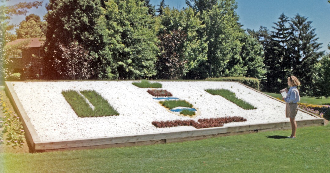 Have you ever traveled past this #UofT garden hedge display? 🌳 💚 Here is a #UTM throwback photo from the 1980s featuring the North campus entrance, when our campus was known as Erindale College. 🌿 #ThrowbackThursday