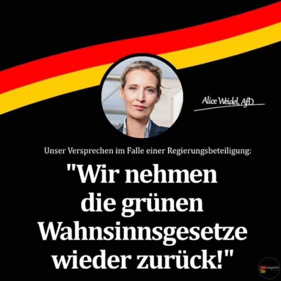 Freiheit4ev3r's tweet photo. Viele Kampagnen laufen momentan gegen die AfD. Die Umfragen sinken leider etwas. Eine Sache steht allerdings fest, nur mit der AfD bekommt man sicher keine Grüne Politik! https://t.co/BzKnkXe1Tf