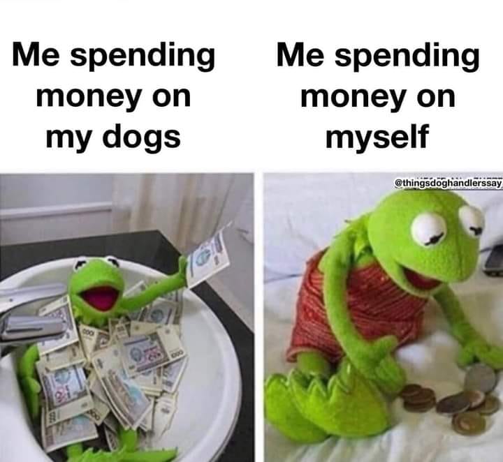 HeckinGoodDogs's tweet image. 