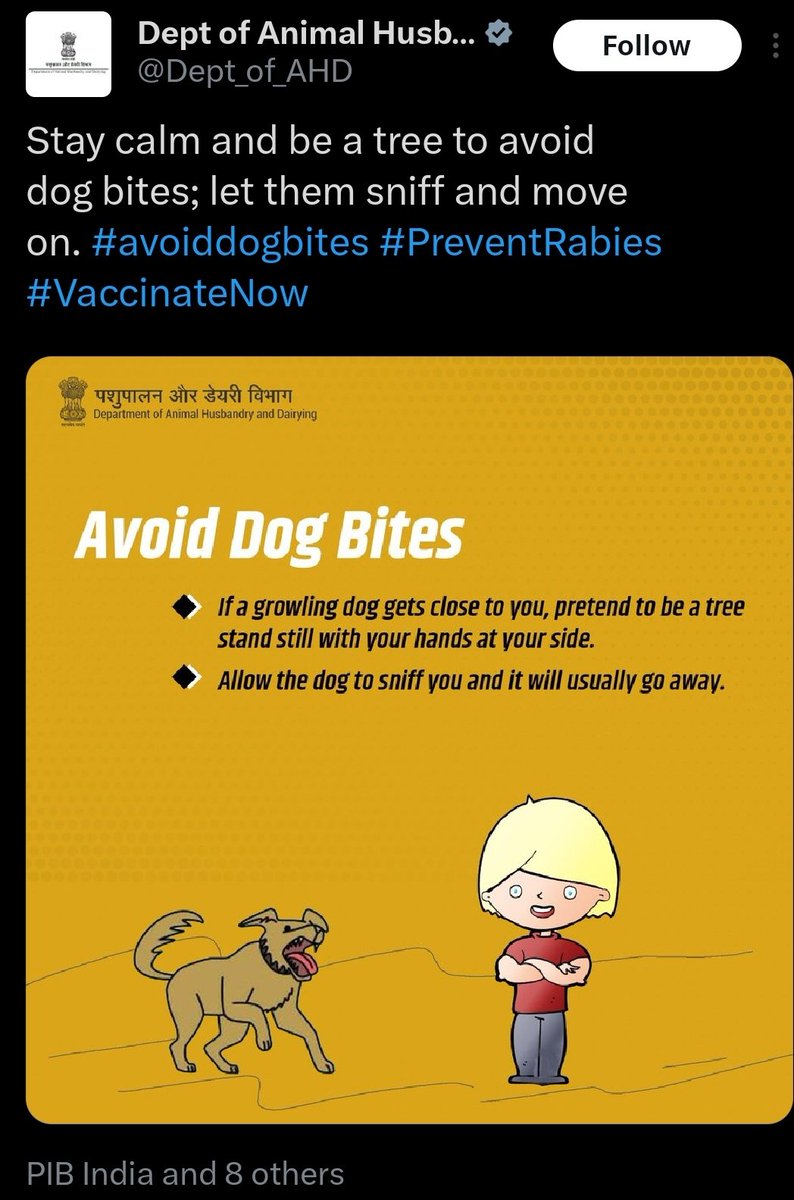 This is a public health message from a government handle advising people how to prevent dog bites and rabies. Imagine the plight of public health in India. 'In the event of a flood, stay strong & keep yourself rooted on the ground like a tree. Usually you don't get uprooted.'