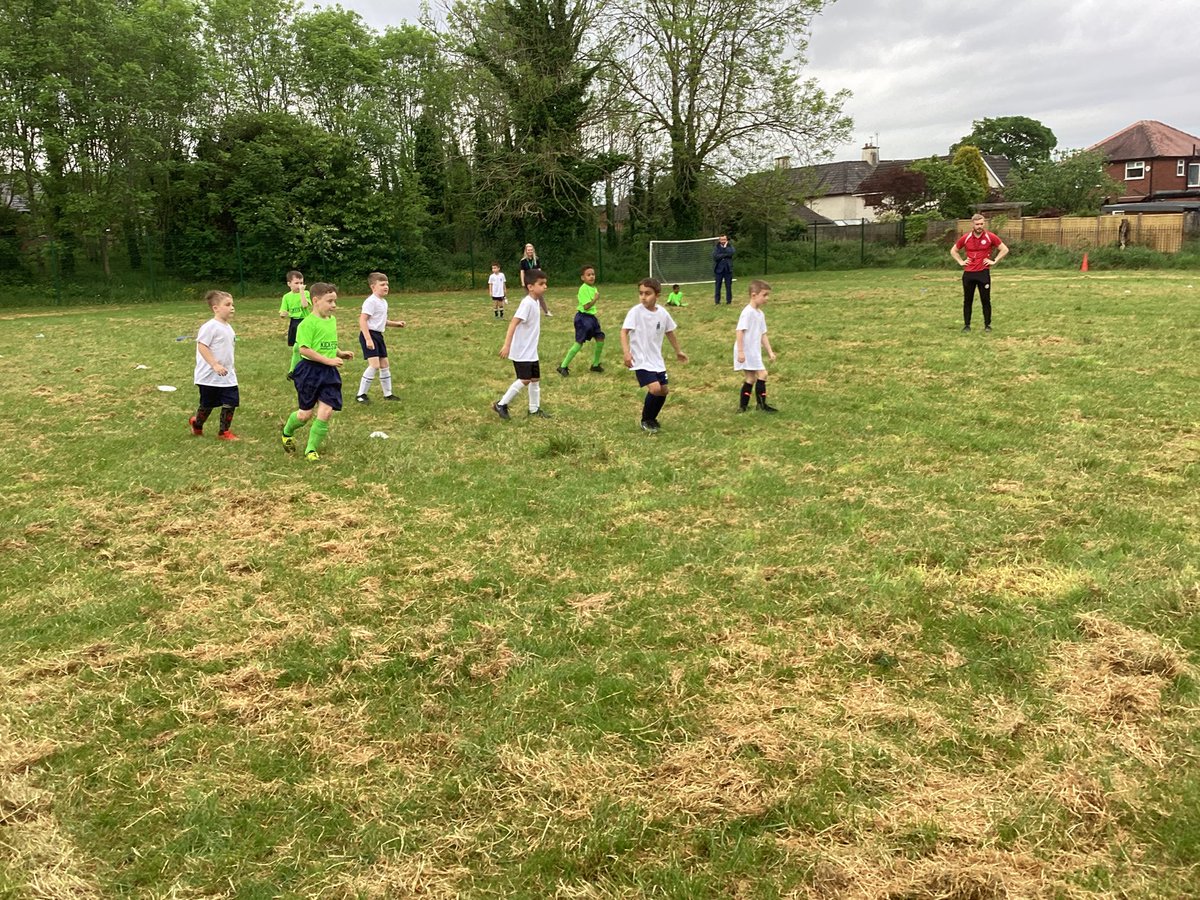 Mesne Lea tweet media