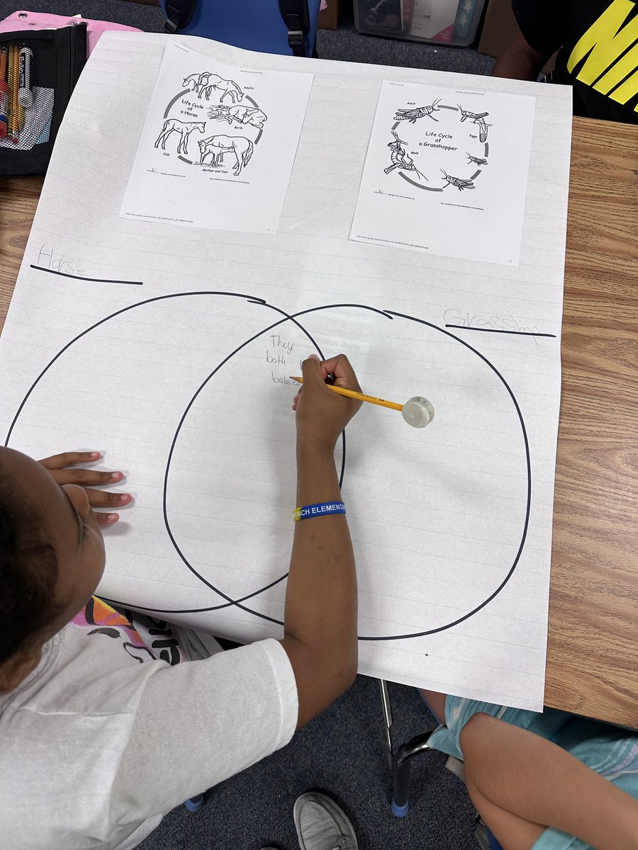 Today our scientists are comparing and contrasting the life cycles of two different animals, using a Venn diagram.  @ckendrick219 #Finchfalcons #wearemckinney #everystudenteveryday.