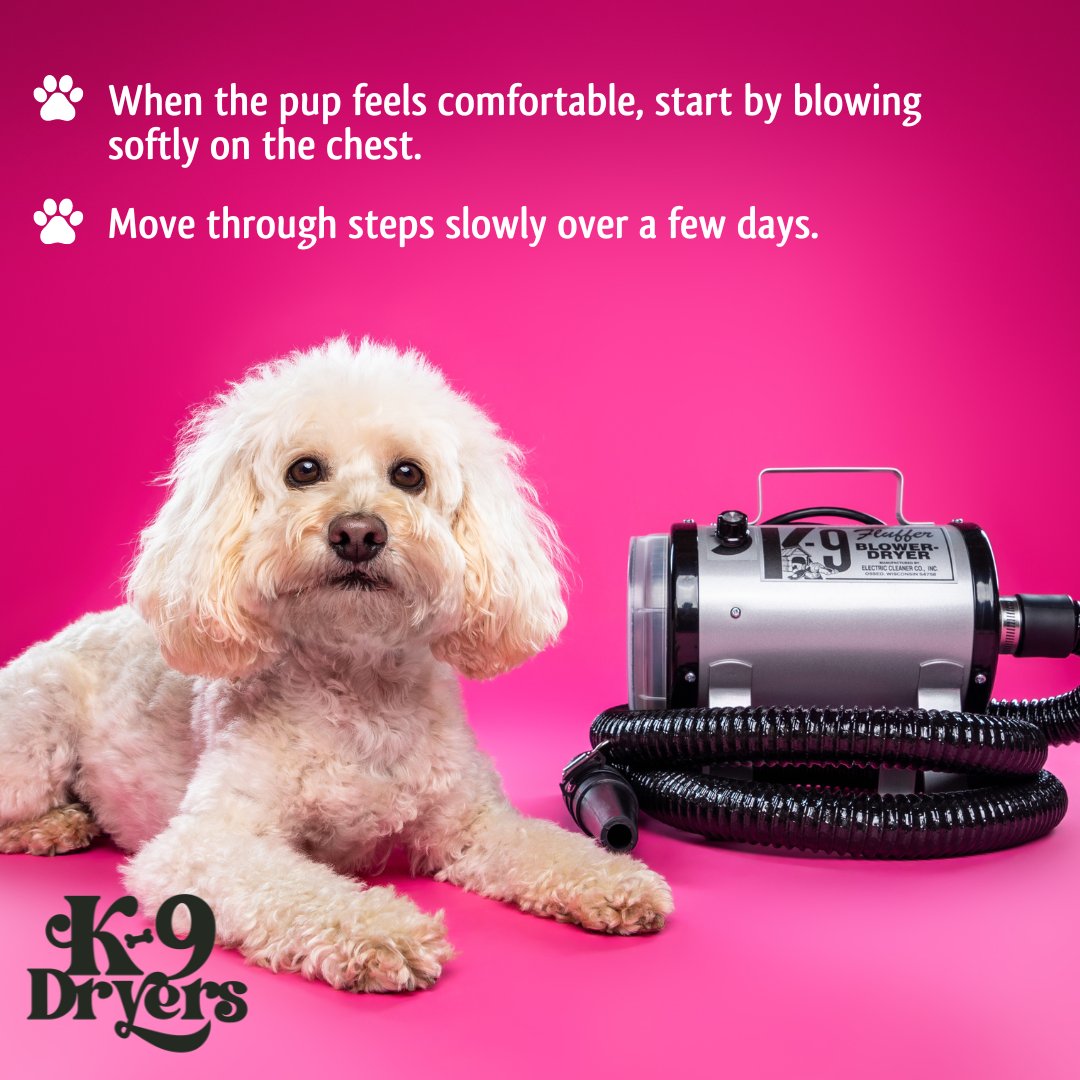 Set your pup up for success! ⭐

#petgrooming #grooming #groomers #dogsofinsta #groomingtools #dogdryer #usamade #catdryer #onthego #k9dryer #doggroomingsupplies #cats #dogs