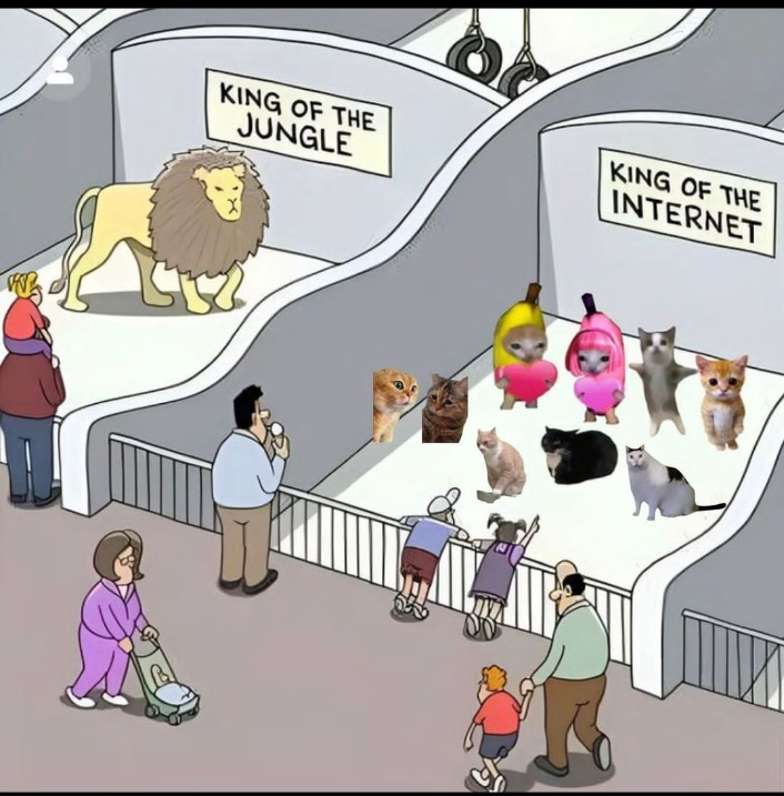 positivityofx's tweet photo. King of the internet https://t.co/gfOK139x15