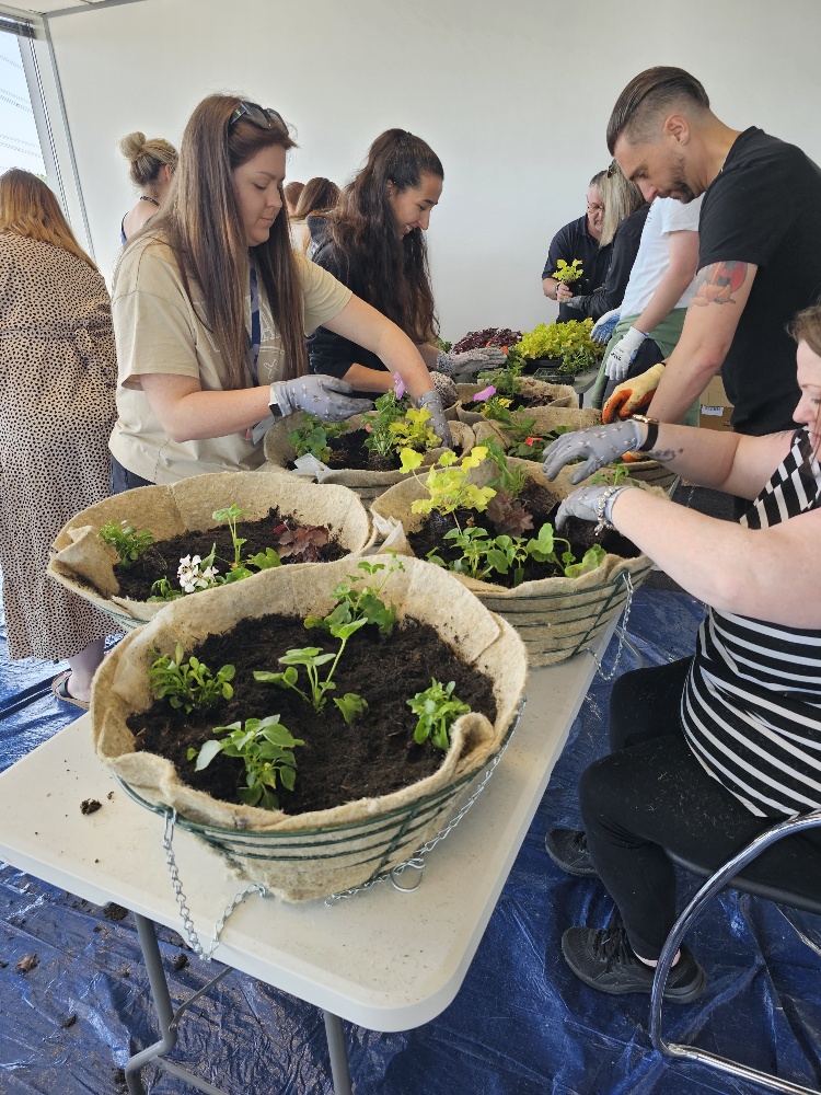 GroundControlGC's tweet photo. We have been creating small pockets of biodiversity for Knight Frank employees at the Forum Business Park 🌼

Attendees left our planting workshop with their handcrafted hanging baskets and we hope the baskets will support pollinators in their homes. https://t.co/vthEdeBHur
