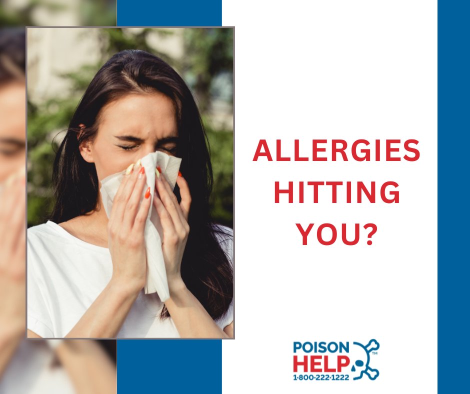 There's nothing like a warm spring day to remind you to take your antihistamines!

 Allergy Season Tips:
✔️Pick meds for specific symptoms.
✔️Watch for duplicate active ingredients
✔️Read label every time.

 #AllergySeason #SpringAllergies #Antihistamines #AllergyTips