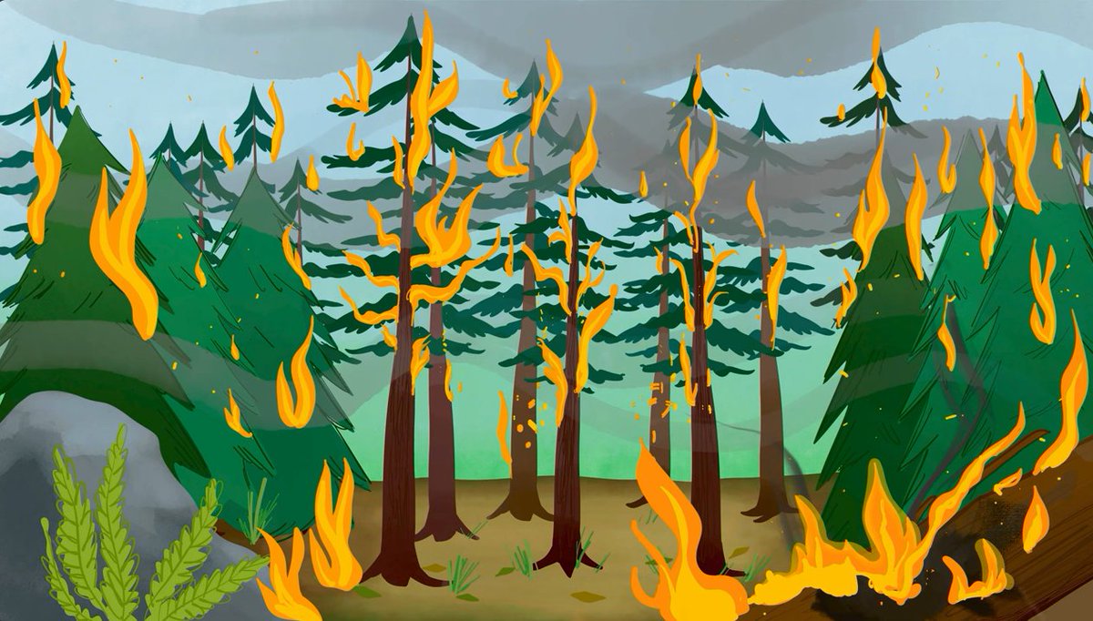 It’s good to know what to do when wildfires threaten communities and infrastructure. Learn about wildfires, evacuations alerts and orders and how to prepare for smoke and poor air quality with this video: ow.ly/uqhb50RHEXO #BCwildfire