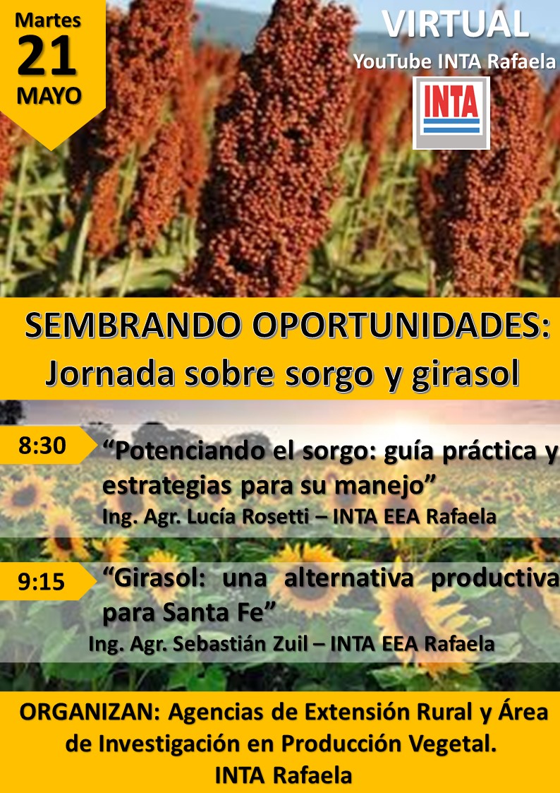 ⚠️ Para agendar ⚠️
💻 Jornada virtual “Sembrando Oportunidades" sobre #sorgo y #girasol 🌱🌻
🗓 Martes 21 de mayo🕕 8.30 hs.
👉 En vivo por YouTube: youtube.com/live/5Rw5xEQkH…
Te esperamos ‼️