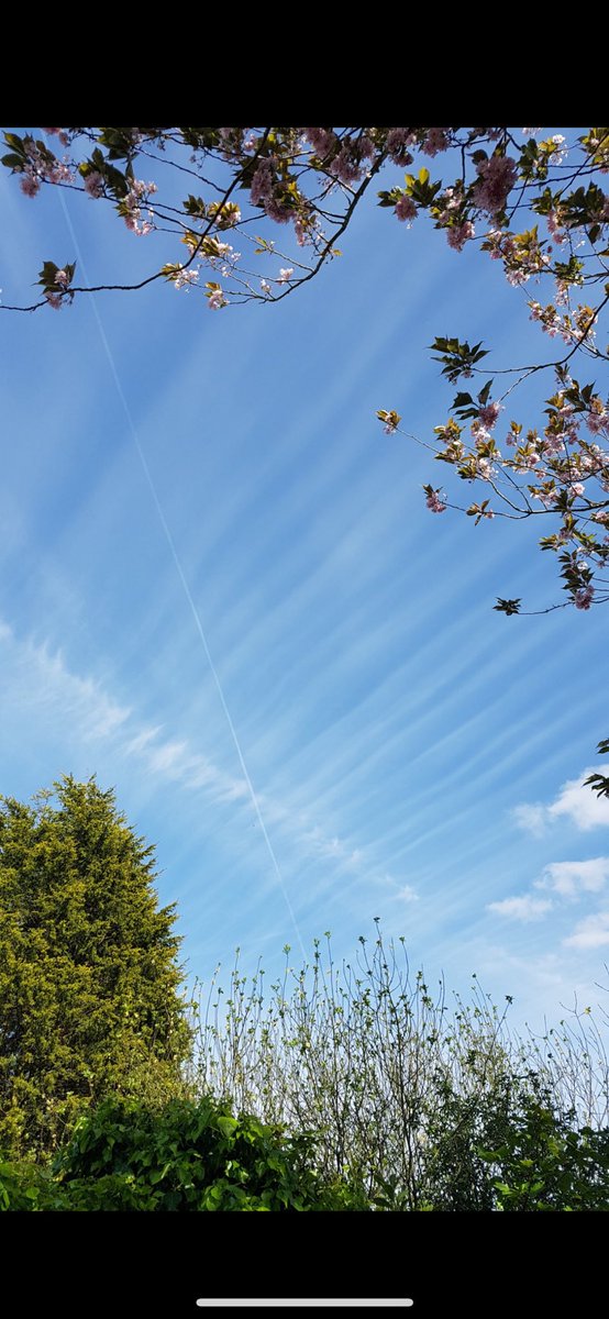 Normal Line Shaped Clouds 👇