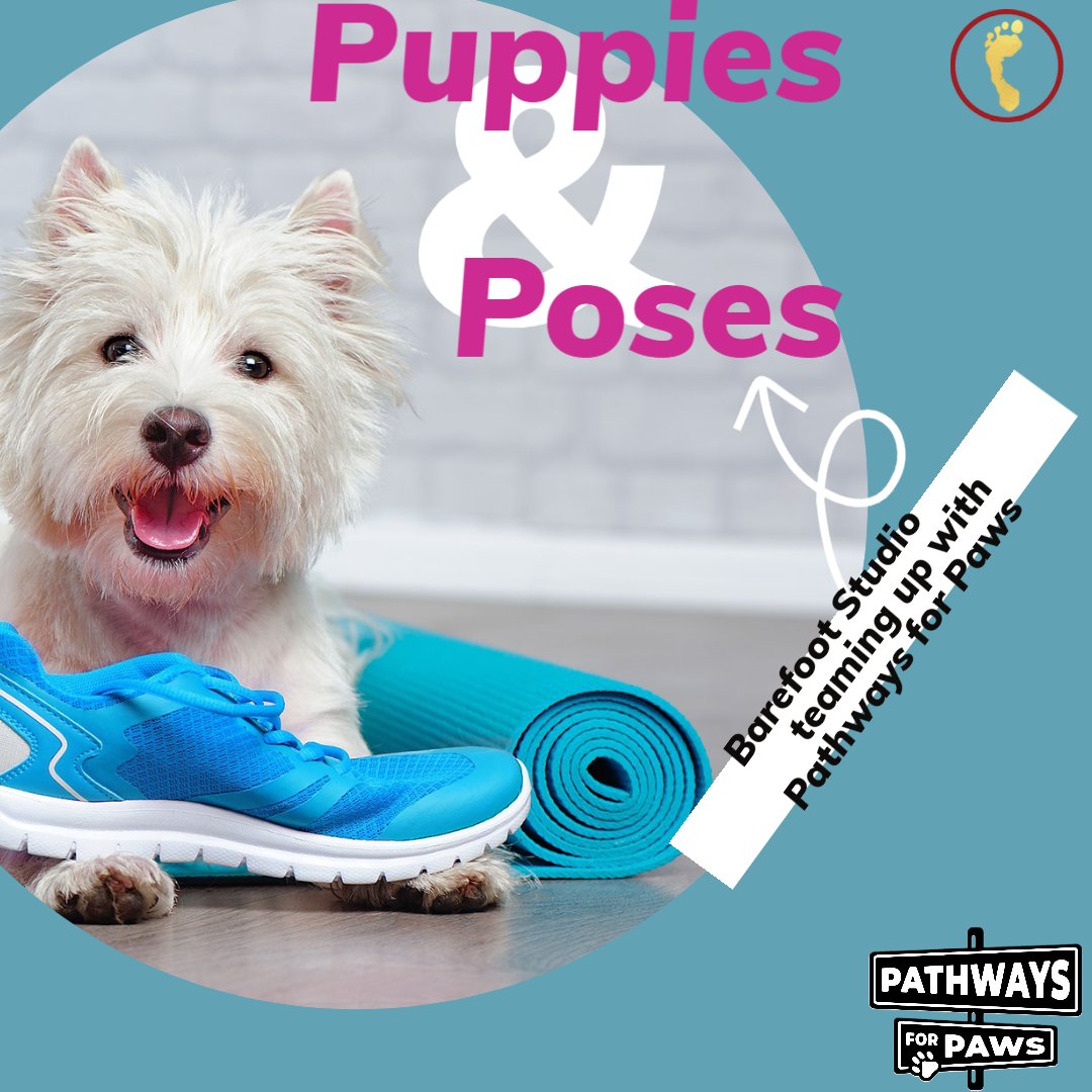 Do you love puppies? Do you love yoga? Then you won't want to miss Puppies and Poses at Barefoot Studio! Come and practice yoga surrounded by the most adorable pups ever.

ow.ly/JMVe50Nt7Wn

#puppylove #yogawithdogs #furriendship #rescueismyfavoritebreed #yogapuppies