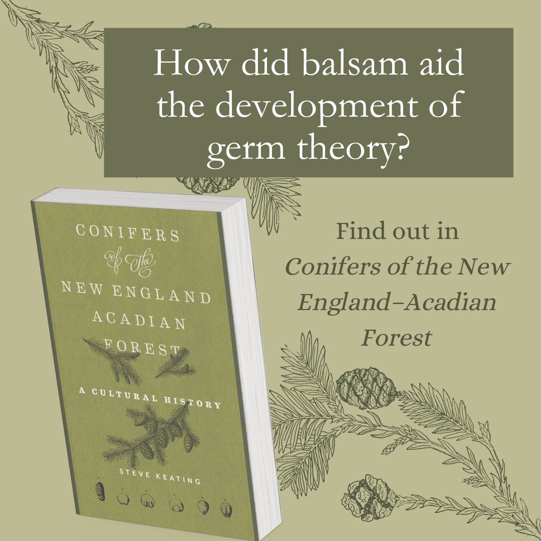 In Conifers of the New England–­Acadian Forest, microbiologist Steve Keating explores how conifers influenced the course of human history, writing in a style that is both scientific and accessible. Read more about the book and order your copy ow.ly/oHpv50QKQqn #MustRead