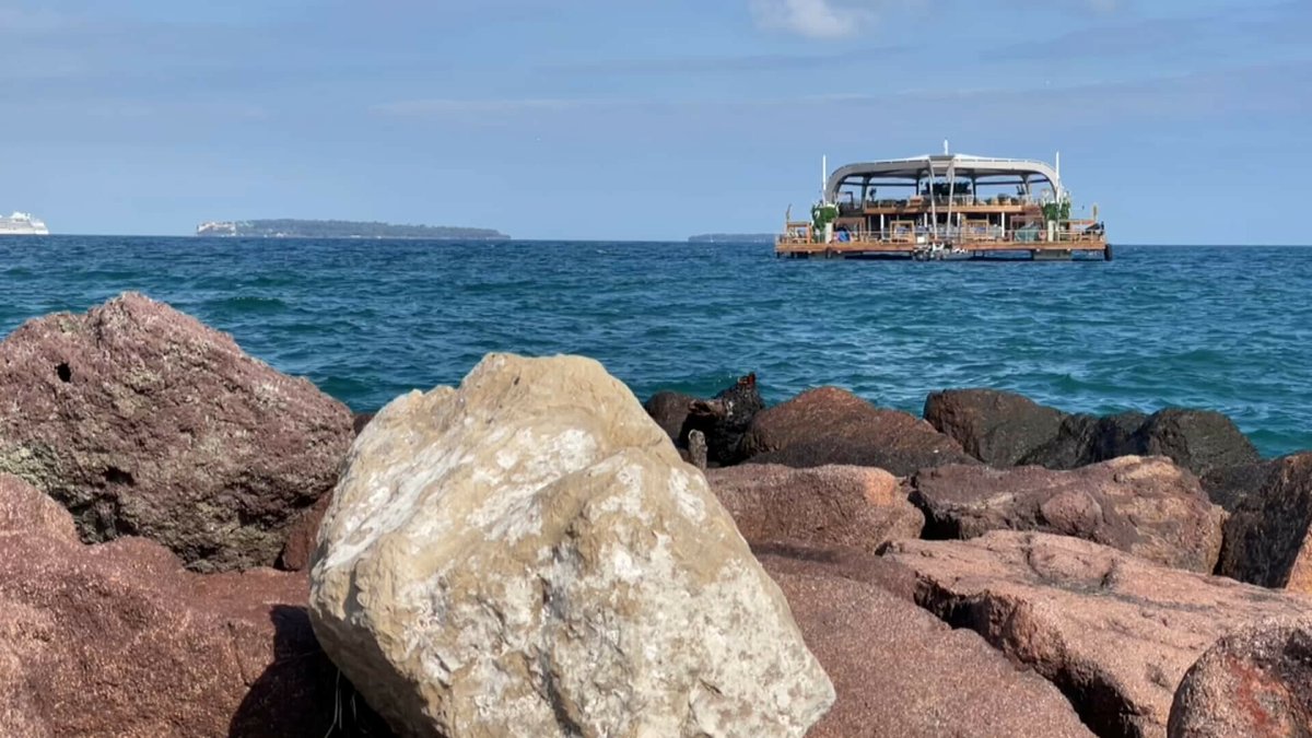 'Ça tue le paysage': avant son inauguration à Mandelieu-la-Napoule, Canua Island divise toujours les habitants l.bfmtv.com/dju0