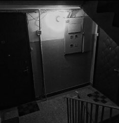 livresczyta's tweet image. „Wyrwaliśmy się z ponurej dzielnicy, w której spędziliśmy całe życie i która zniszczyła mnie do cna.”

 #dylogialies