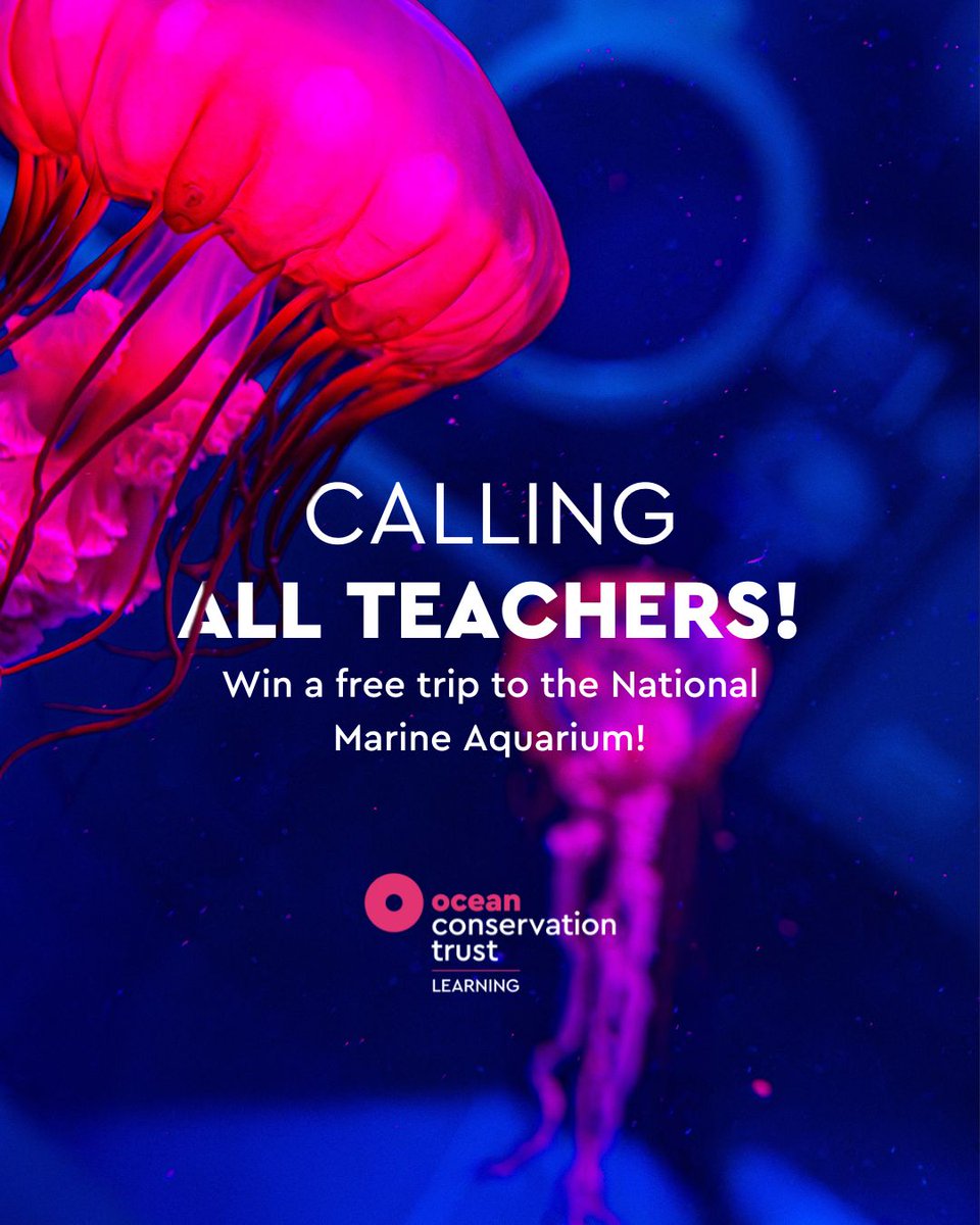 Calling all educators! Teachers and Home educators are invited to enter our competition to win a free trip to the NMA for you and a friend! All you need to do to be in with a chance of winning is to sign up for our schools mailing list below 👇 bit.ly/4bgLcFO