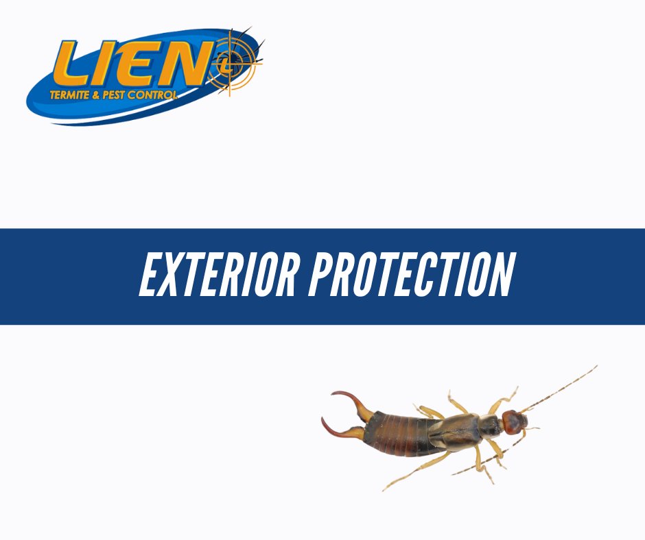 By creating a secure, continuous barrier around your home, pests like cockroaches, ants, and earwigs are controlled even before they enter the building. Discover our pest treatment options at lienpestcontrol.com and contact us for a free estimate! #homeexteriors #lientermite