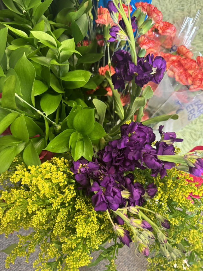 Klein Collins Tiger Blooms tweet media