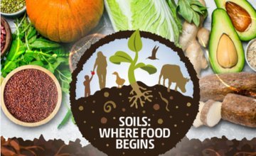 Soil:Where food begins 
#SaveSoil 
#ConsciousPlanet 
@cpsavesoil
