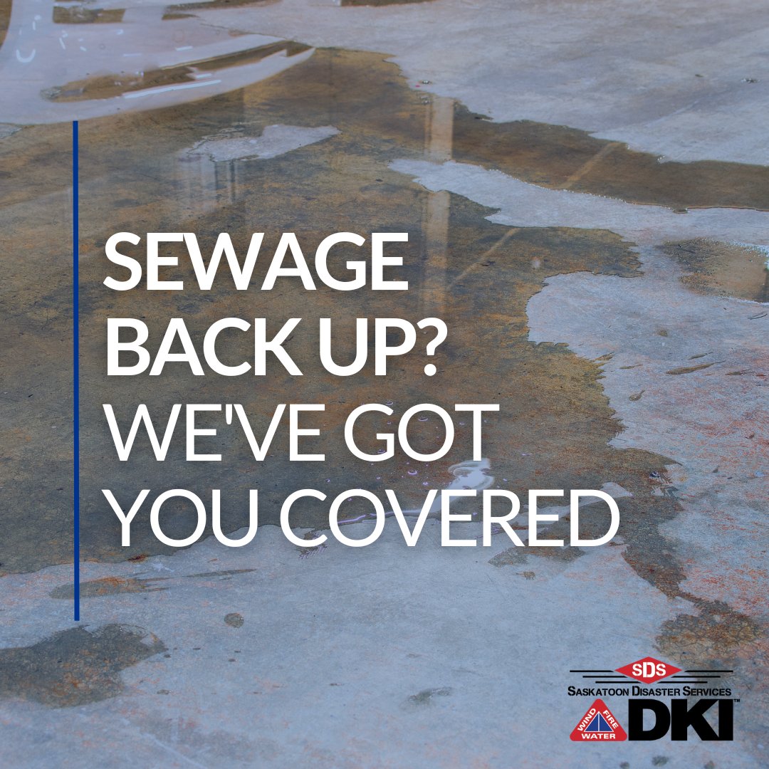 Whether it's due to a blocked connection to the main sewer line or water run-off from a storm, sewage backups are unpleasant, stressful and hazardous. 

Don’t take it on yourself, put safety first, call the pros at DKI - Saskatoon Disaster Services. Visit saskatoondisasterservices.com/water-damage