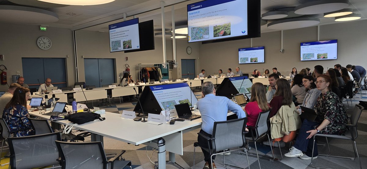 Juan A. Navas-Cortés (personal) tweet media